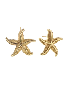 PENDIENTES DURAN EXCUSE SEA PLATA LEY                                 