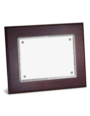 PLACA HOMENAJE SOROLLA DURAN PLATA LEY 20*15 CM