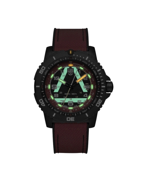 LUMINOX ICE-SAR ARCTIC, 45MM - 1095 LIMITED                                                         